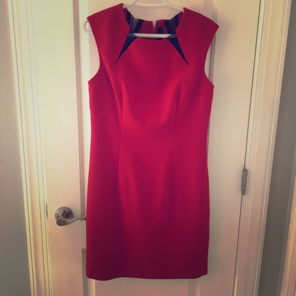 The limited dress